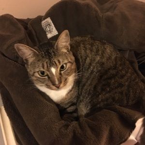 Meet your Posher, Stephen